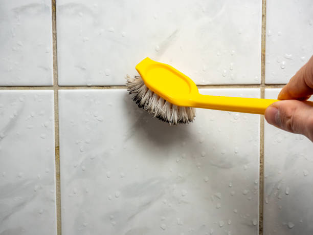 Mold Removal and Inspection in Granbury, TX