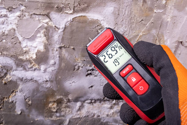 Professional Mold Removal in Granbury, TX