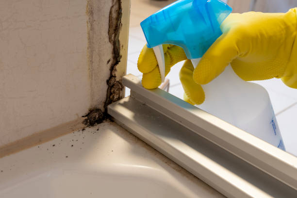 Best Residential Mold Removal  in Granbury, TX
