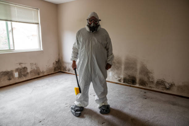 Best Mold Testing  in Granbury, TX
